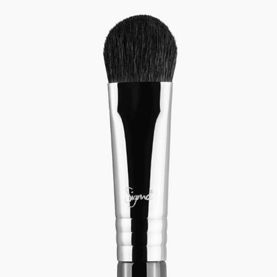 Sigma E50 Large Fluff Brush