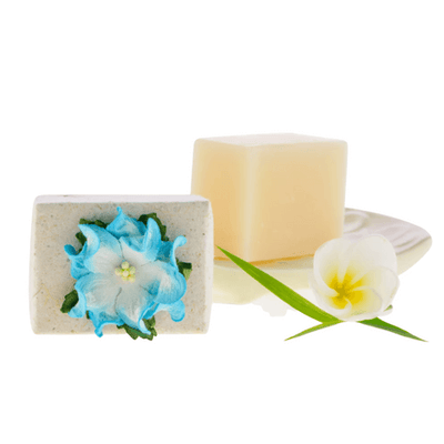 Pure Fiji Luxury Spa Soap Mini 1.7oz